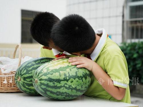 用校园网吃瓜,揭秘网络八卦背后的校园生活