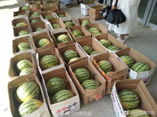 用校园网吃瓜,揭秘网络八卦背后的校园生活