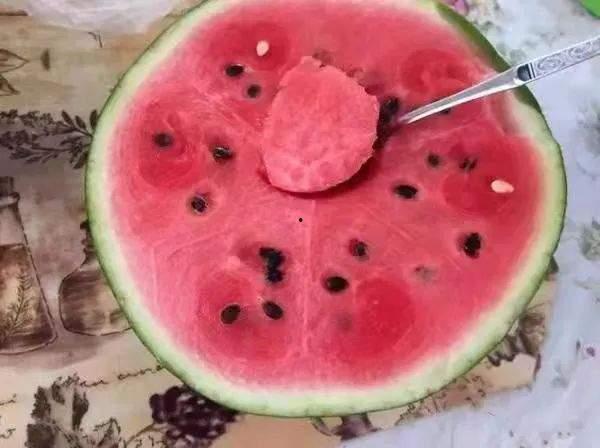 全京城都在我这吃瓜网盘,揭秘“吃瓜网盘”背后的火爆现象