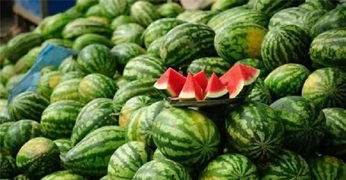 四个字网红吃瓜视频下载,一网打尽热门瞬间