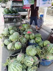 武都网红吃瓜事件视频,一场网络热议的幕后真相揭秘