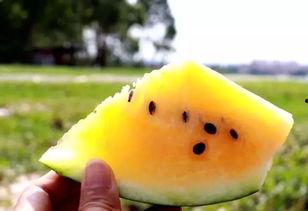 网爆吃瓜社,揭秘娱乐圈最新热点事件