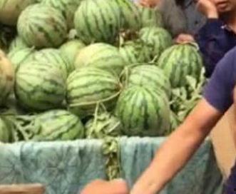 秦安网红吃瓜事件真相,真相背后的网络狂欢与反思