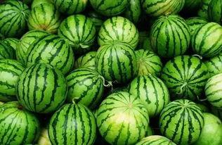 莒县网红吃瓜群微信,揭秘微信朋友圈里的热门话题与趣味生活