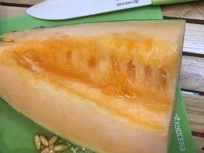 吃瓜网柳州电信,打造全新网络体验！