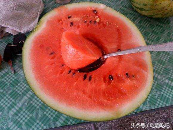 怎么才能看吃瓜网,轻松掌握热门资讯的秘诀