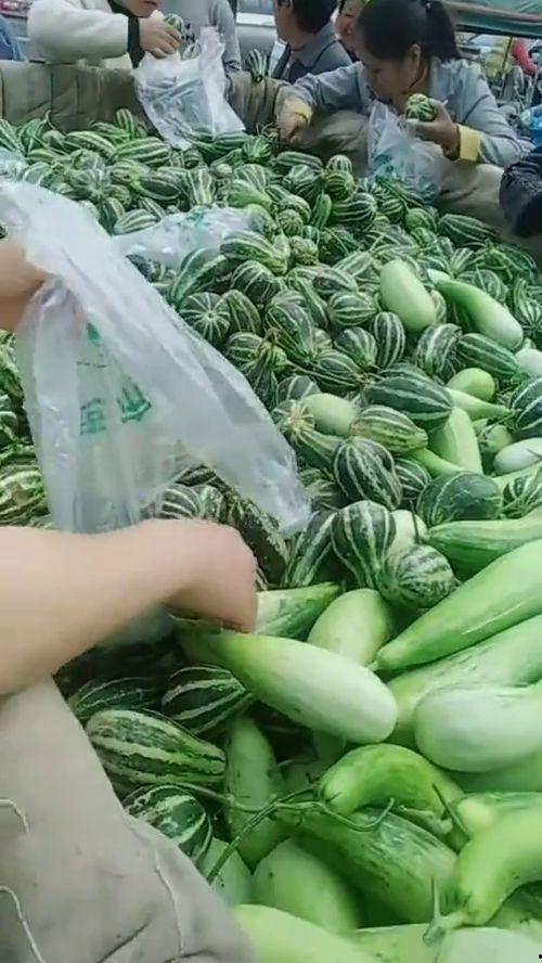 贵州网红大叔吃瓜,贵州网红大叔的独特吃瓜体验