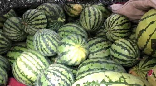 吃瓜网社会瓜,揭秘社会热点背后的真实瓜