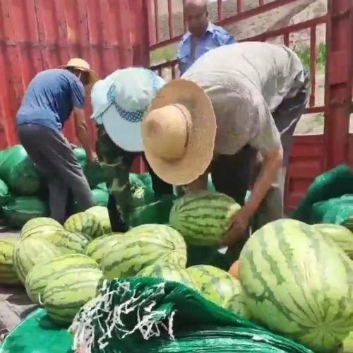 永年网吃瓜事件最新进展,最新进展揭秘，真相大白！