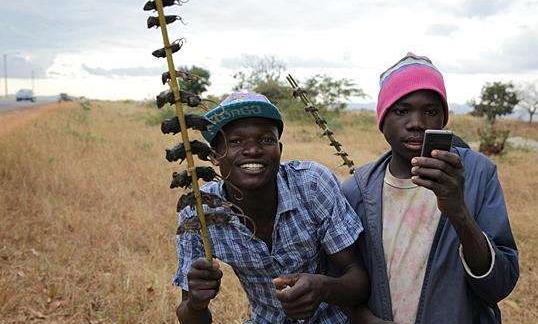 非洲网红吃瓜事件,引发网友热议