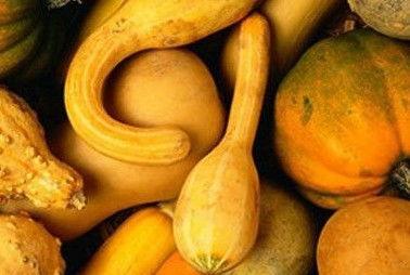 cgtolive吃瓜官网,揭秘娱乐圈幕后故事，带你畅游八卦海洋