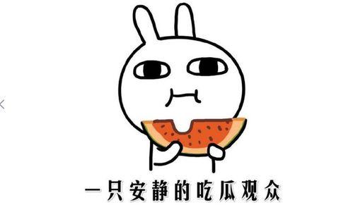 吃瓜网红有谁,盘点那些引人关注的网络红人