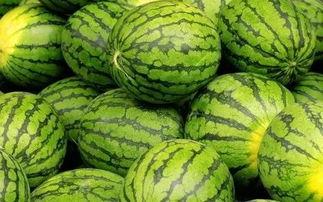 每日大赛吃瓜网莫