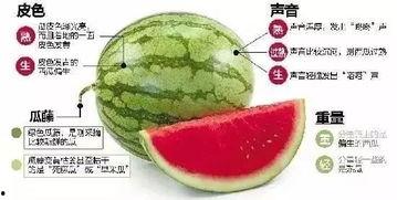 琼海网红吃瓜群微信,揭秘微信朋友圈里的热门话题与幕后故事