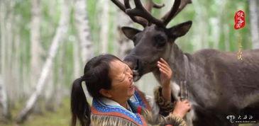 网红驯鹿吃瓜是真的吗视频