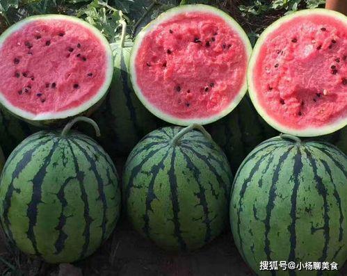 吃瓜网今日官网,揭秘娱乐圈最新动态，带你畅游八卦海洋