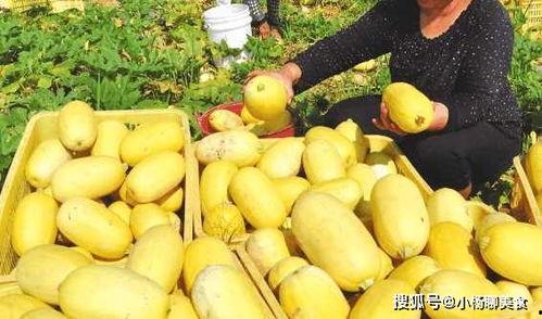 懂色帝吃瓜网,懂色帝吃瓜网带你领略明星幕后故事