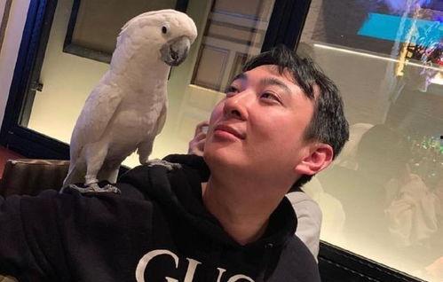 最新百万网红吃瓜事件,揭秘背后惊人真相