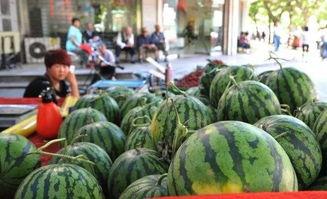 7网球吃瓜,一场别开生面的7网球吃瓜大赛