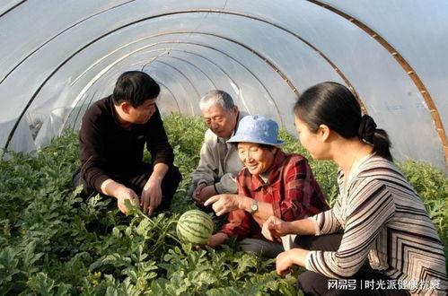 一中网课事件吃瓜,揭秘背后真相，吃瓜群众热议不已