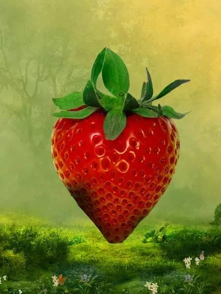 qq吃瓜草莓小屋官网,揭秘虚拟世界的甜蜜乐园