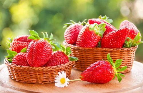 qq吃瓜草莓小屋官网,揭秘虚拟世界的甜蜜乐园