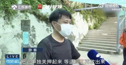 吃瓜挨打的网红是谁
