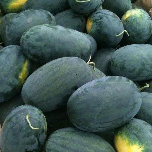 黑瓜吃料网安卓能打开吗,轻松打开，畅享美食资讯