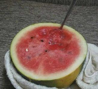 如何登吃瓜网,畅享娱乐资讯盛宴