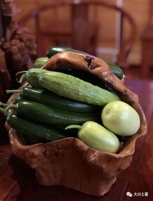 蠡县网红都有谁吃瓜,揭秘吃瓜大军中的风云人物