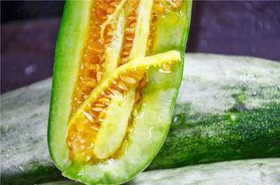 康县网红吃瓜视频爆料,一场网络热议背后的真相