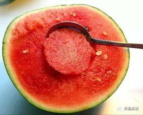 景德镇网红吃瓜群微信号,揭秘幕后故事，畅谈生活点滴