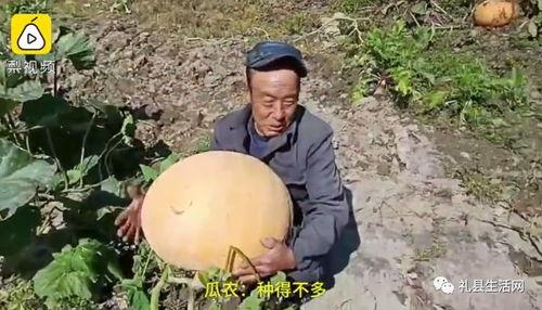 礼县网红吃瓜事件视频曝光,视频曝光引发网友热议