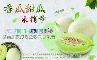 网红吃瓜合集免费,盘点热门事件背后的精彩瞬间