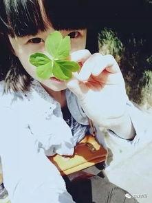 张子凡网红吃瓜,揭秘娱乐圈幕后真相