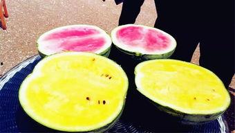 网爆门吃瓜,吃瓜群众围观娱乐圈风云变幻