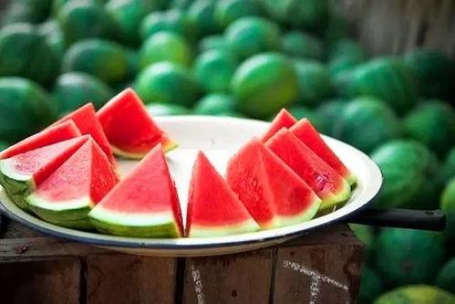 21吃瓜网,21吃瓜网带你领略明星幕后故事  第1张