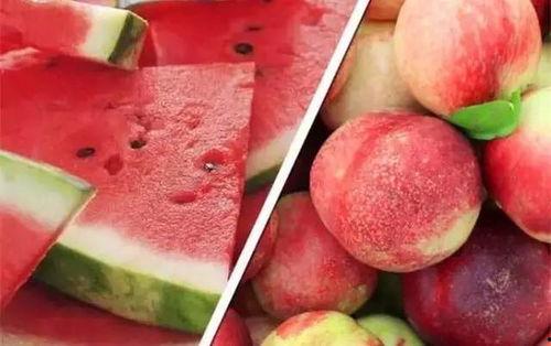 吃瓜和网暴本质区别,本质差异解析 第1张 吃瓜和网暴本质区别,本质差异解析 第1张