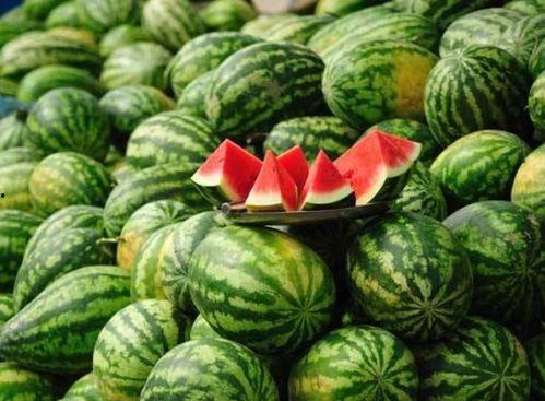 网红吃瓜视频的特点有哪些,趣味与争议并存的现象解析  第3张