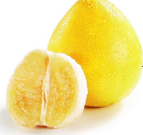 网瓜吃柚子  第1张