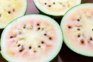 和县网红吃瓜事件真相揭秘,揭秘背后真相与争议  第1张