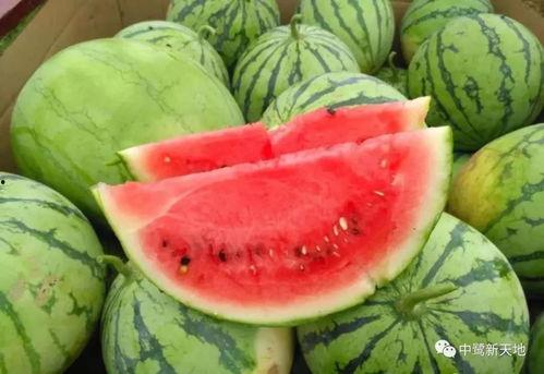 今天吃瓜网,吃瓜网独家爆料，明星幕后故事大公开！  第2张