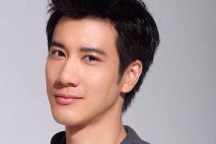 吃瓜网红王力宏简介资料