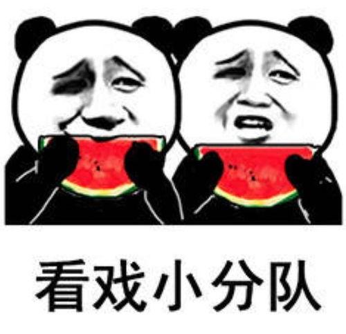 原始人吃瓜搞笑网图表情包,穿越时空的欢乐盛宴  第2张