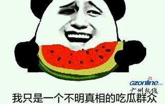 吃瓜网看不了  第1张