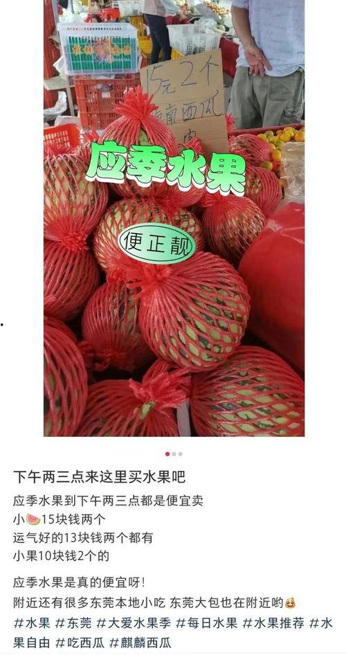 东莞吃瓜网,揭秘东莞美食江湖，带你领略地道风味  第3张