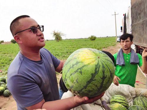 湘潭网红最新吃瓜新闻,揭秘幕后真相与热门事件